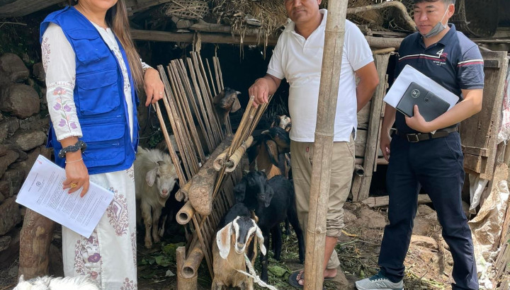 Two men and a woman standing in front of an animal fence with two goats