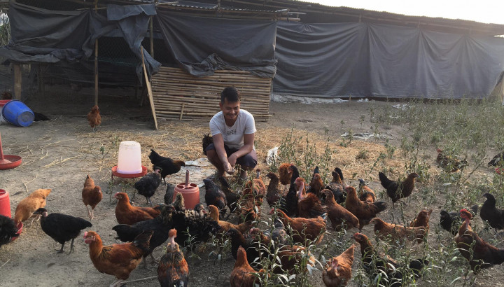 A young man is feeding chicken.