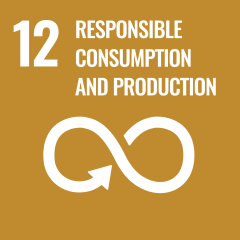 SDG 11: Sustainable Cities and Communities